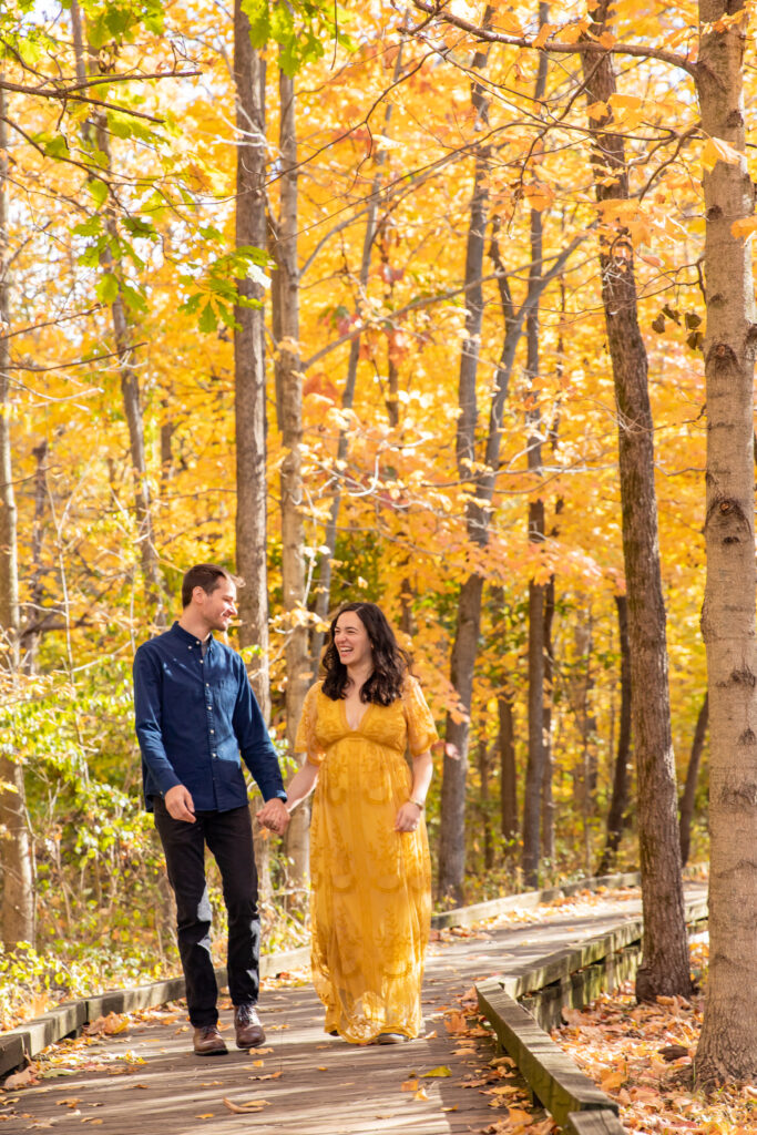 couple walks along boardwalk in woods in the fall among bright yellow trees at parker mill county park in ann arbor michigan