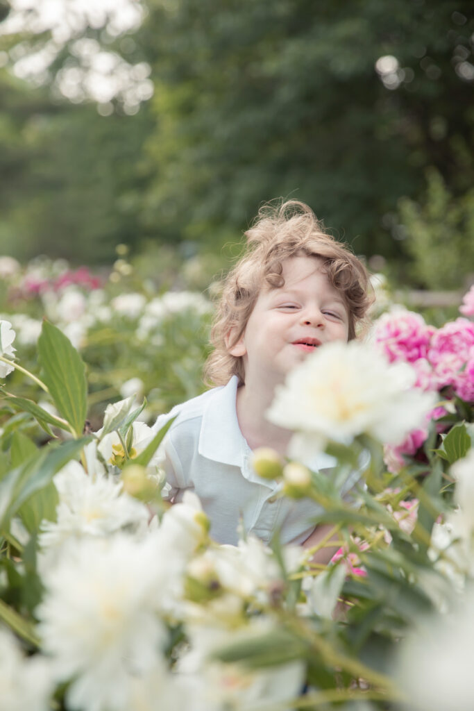 Toddler boy stands in peony flowers and smiles a goofy smile at the peony garden in nichols arb in ann arbor michigan