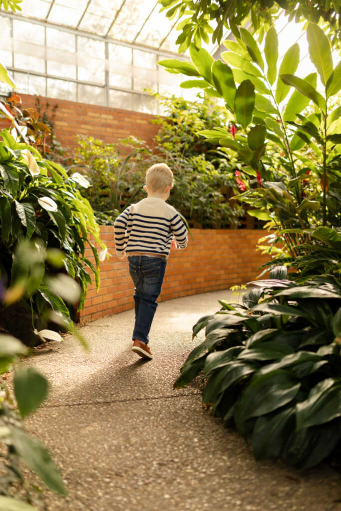 toddler boy runs away from camera around a circular path at the conservatory at matthaei botanical gardens in ann arbor michigan