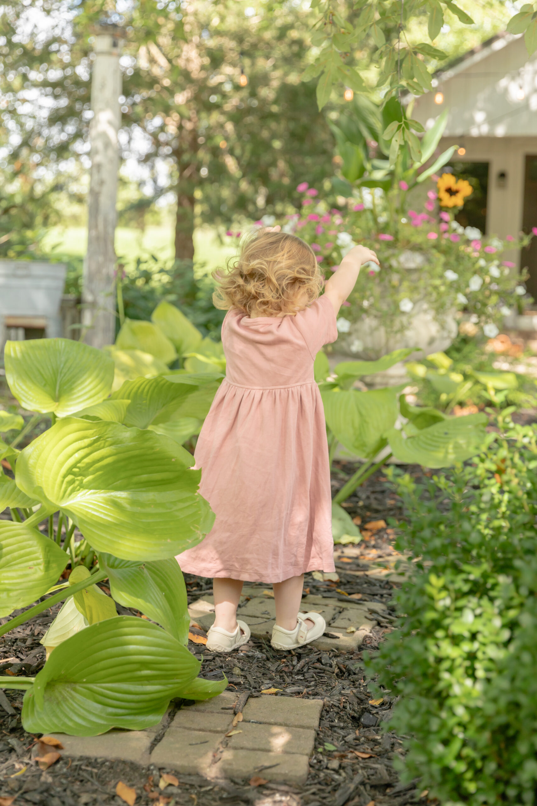 Toddler girl plays in a secret garden surrounded by big hosta leaves and beautiful flowers at Rustic Wild Arrow in Brooklyn, Michigan