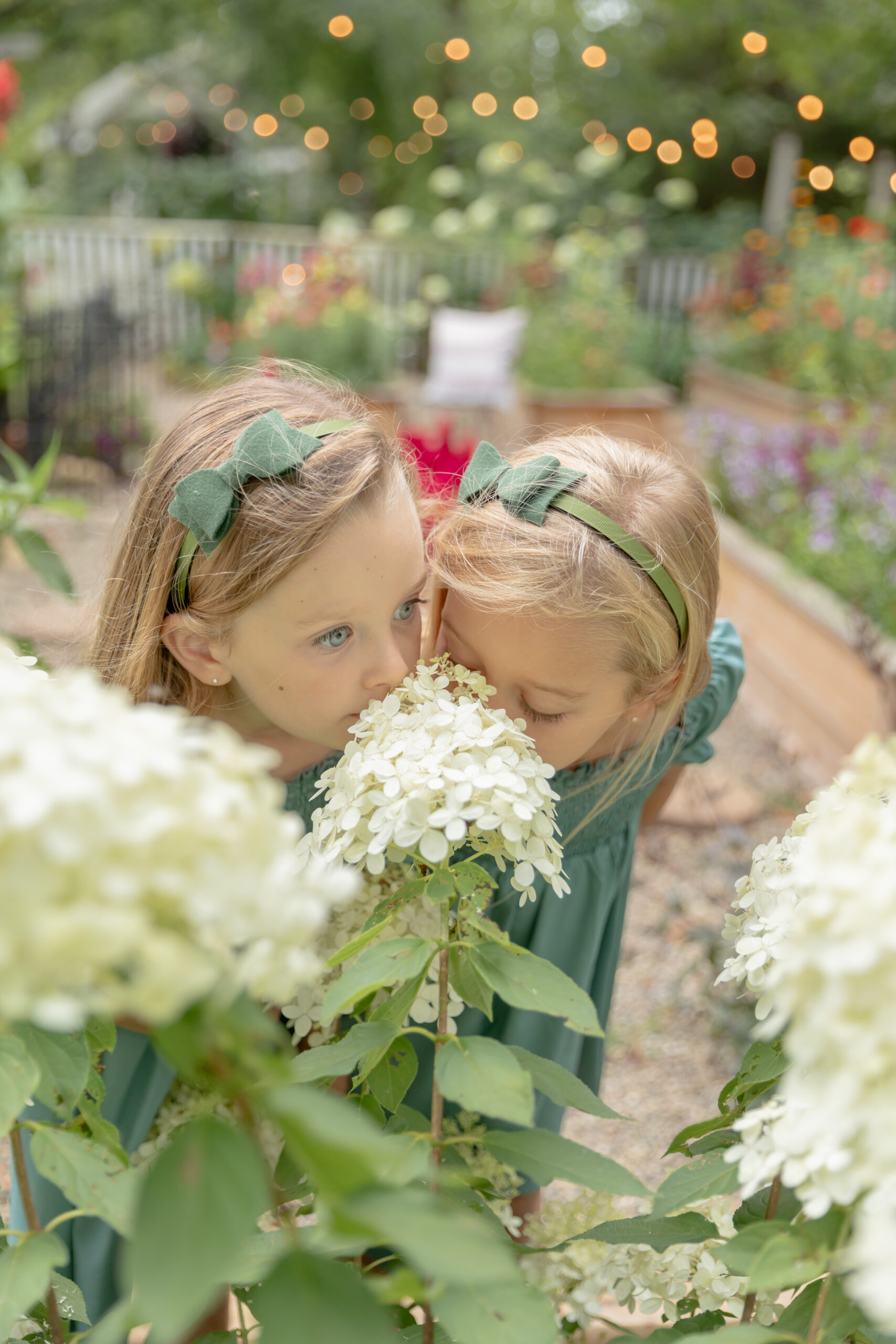 Young sisters smell a beautiful white hydrangea bloom in the gardens of Rustic Wild Arrow in Brooklyn, Michigan