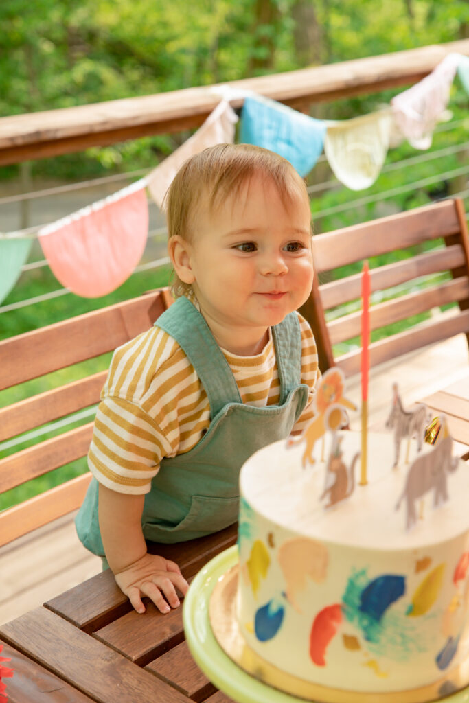 A toddler poses behind a birthday cake with paper zoo animal decorations on top and classes Sweet Heather Anne abstract art on the side