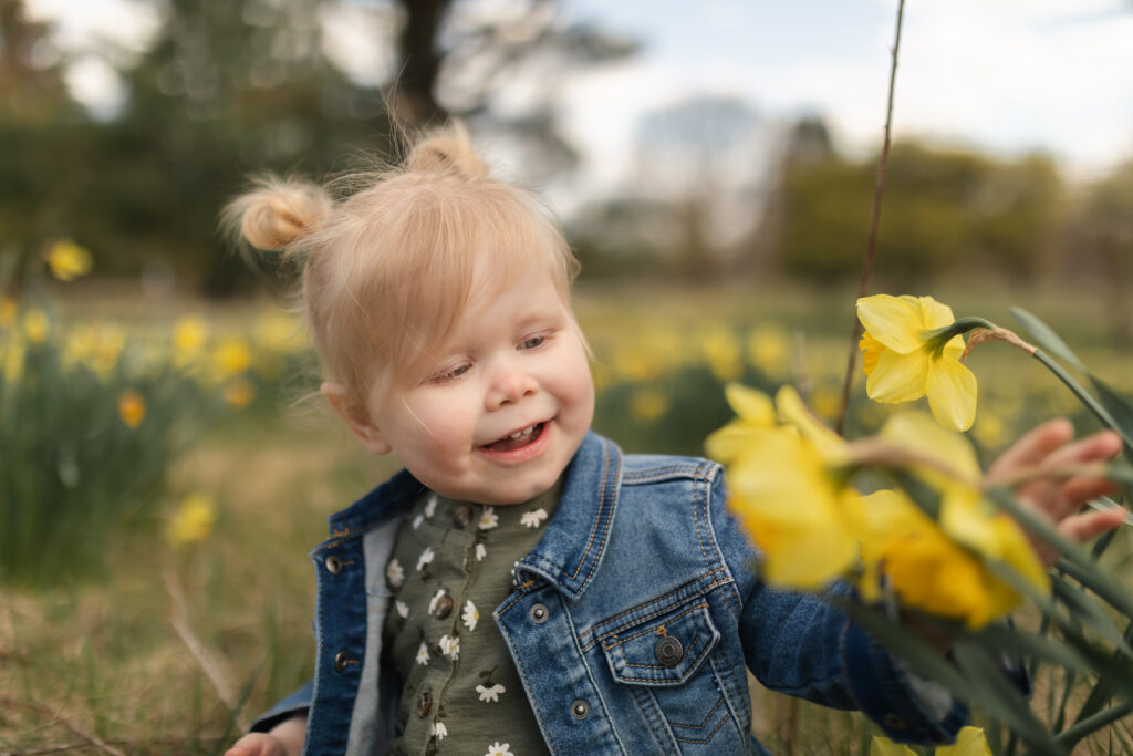 toddler girl sits in a field of daffodils and smiles at flowers