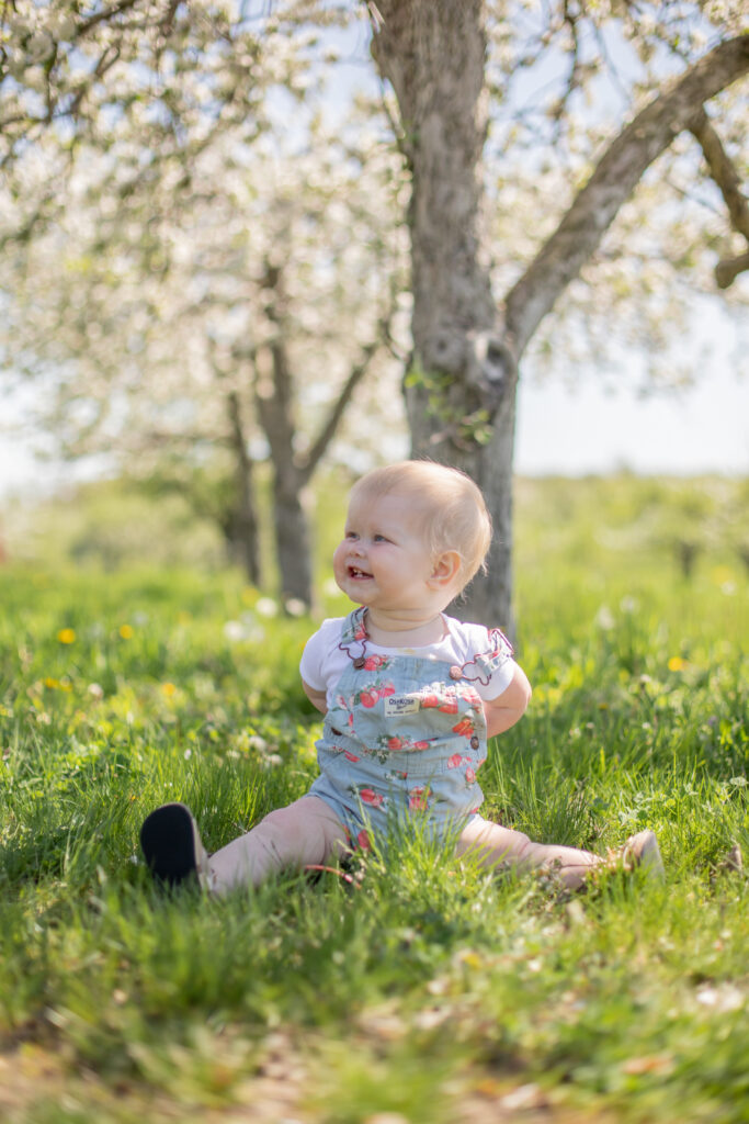 Baby girl sitting on the grass, smiling to someone off camera at Alber Orchard in Manchester Michigan  in spring during apple blossom blooms