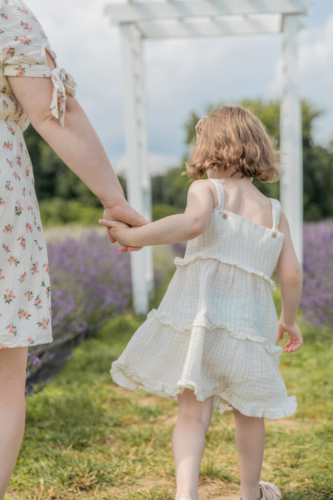 toddler girl walks away from camera pulling mother's hand headed towards a beautiful white pergola in the middle of a lavender field