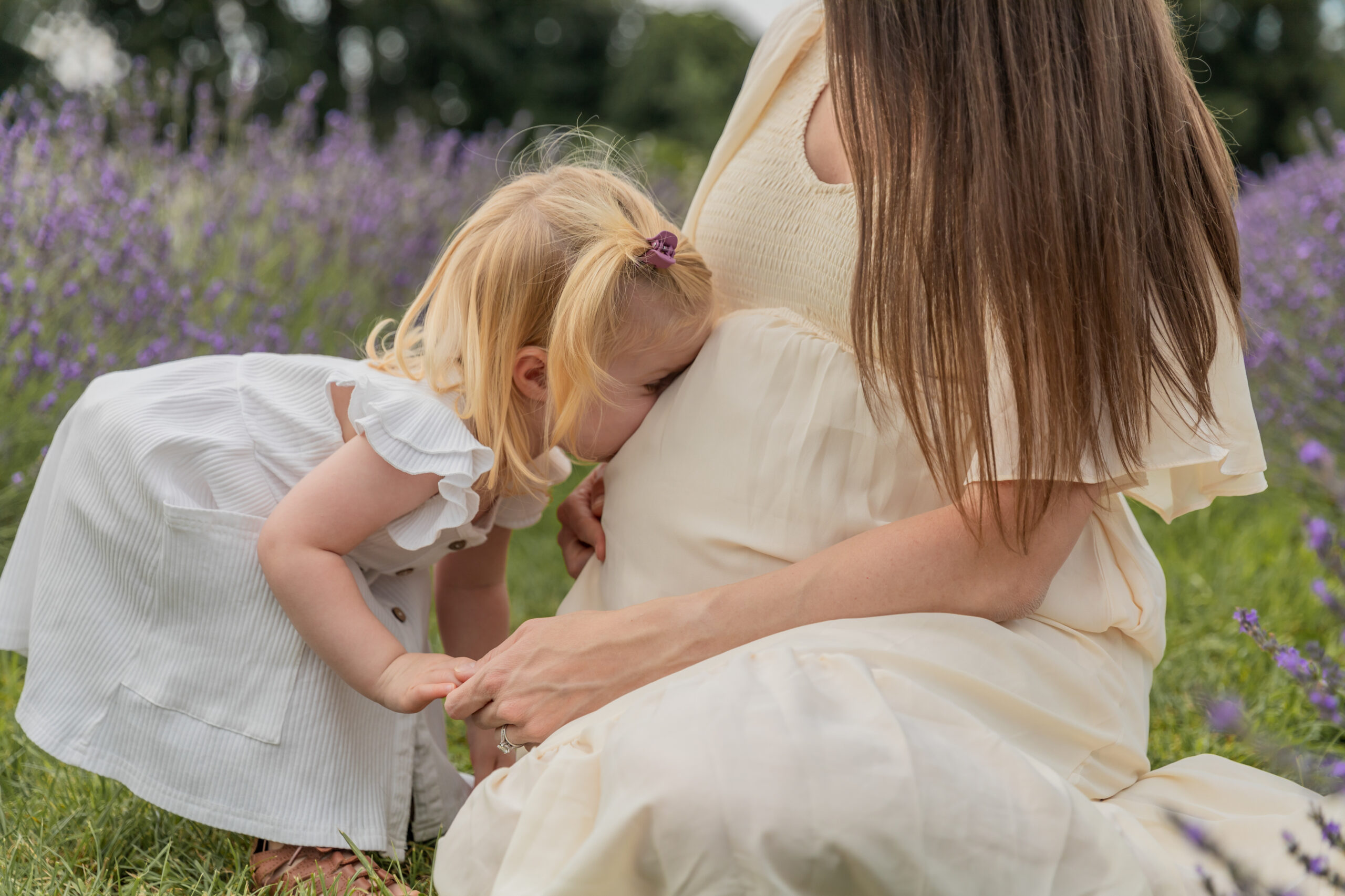 Toddler girl bends down to kiss mama's pregnant belly in lavender field in milan michigan