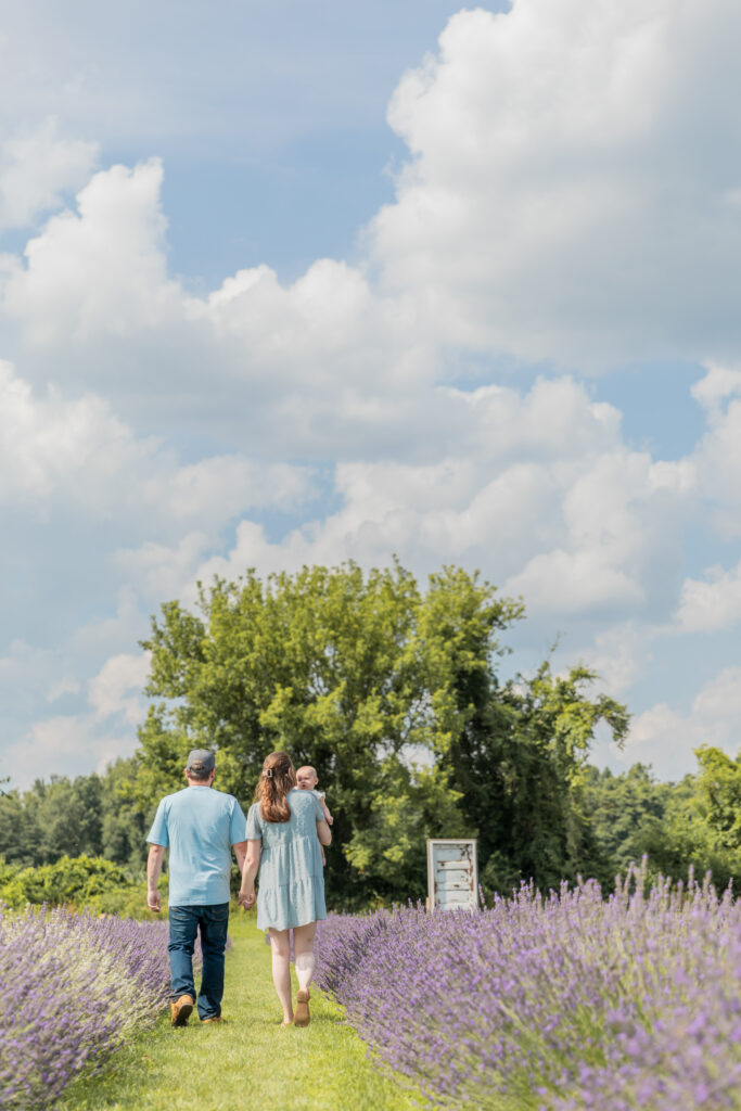 mom and dad walk hand in hand while mother holds baby girl walking away from camera at Lavender Lane in Milan Michigan