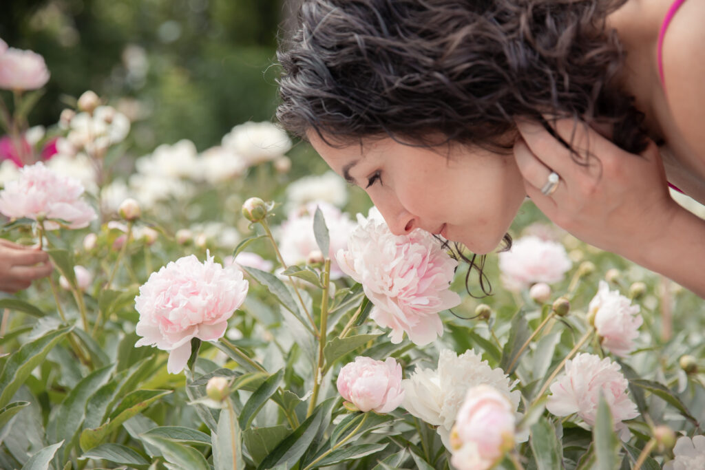 Woman leans over to smell light pink peonies at peony garden in ann arbor, michigan