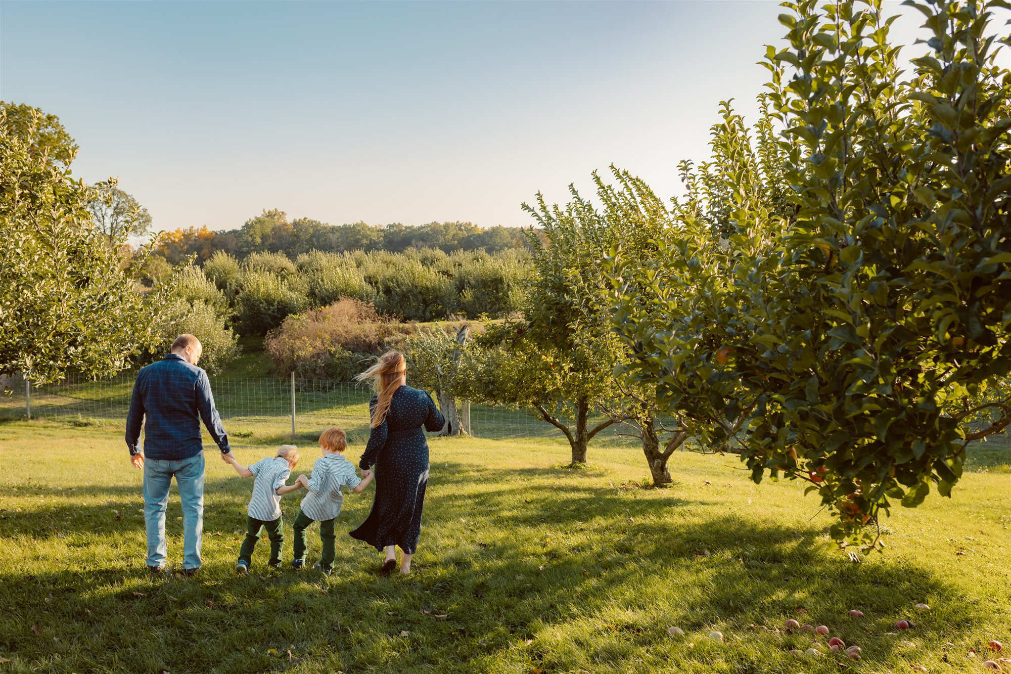 family of four with two young boys walk away from camera between two rows of apple trees at abler orchard in manchester michigan