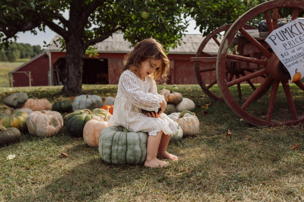 A barefoot girl in a cream dress sits on a green pumpkin holding a small gourd, surrounded by colorful pumpkins and a rustic red barn at Alber Orchard in Manchester, Michigan, during a fall family photo session with Emmy & Ollie Photography