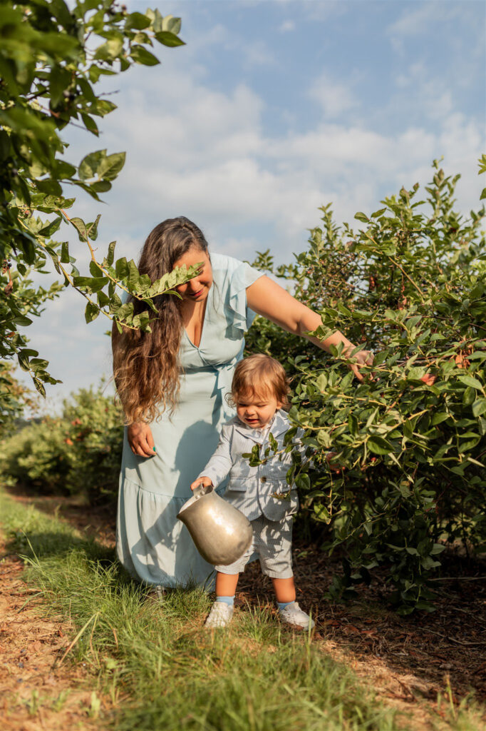 mother shows toddler son blueberry on bush while he looks at the metal jug he's holding at dexter blueberry farm in dexter michigan