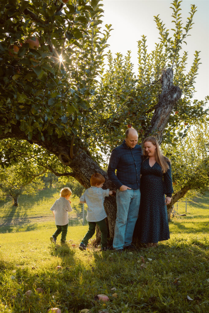 Young boys run around apple tree while their parents stand and watch them, laughing, at alber orchard in manchester michigan