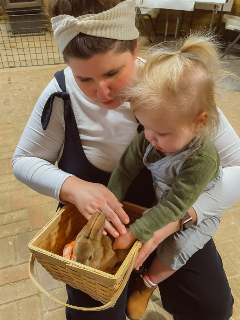 mother and daughter hold bunny in basket on lap while petting at creature conservancy in ann arbor michigan