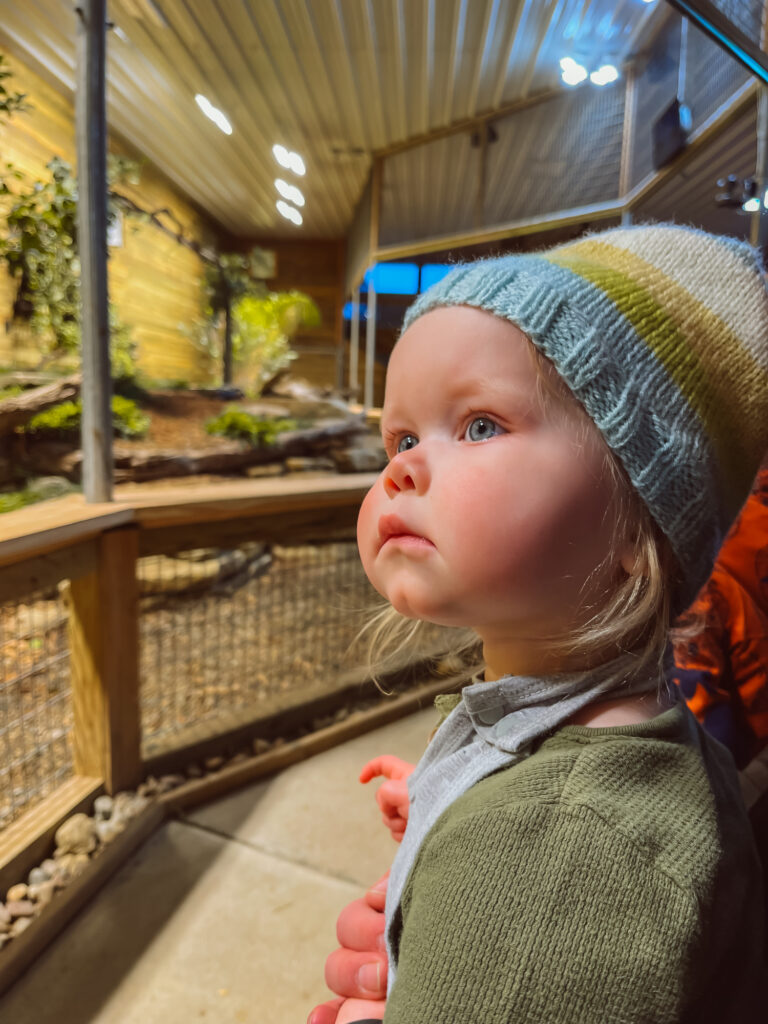 toddler girl looks up to watch animal presentation at creature conservancy in ann arbor michigan